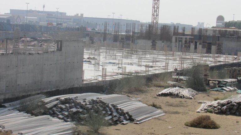 Dubai Lagoon Winterberry, Dubai Investment Park First: Dubai Land Department inspection photo, January 2018