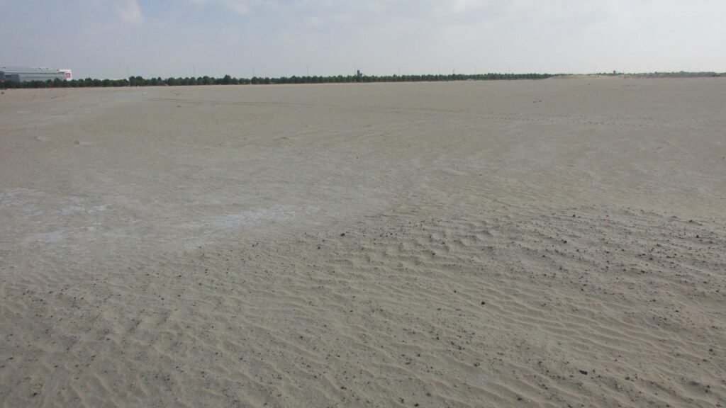 Saffron, Madinat Al Mataar: Dubai Land Department inspection photo, December 2018