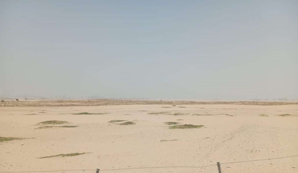 Serenia, Al Yelayiss 5: Dubai Land Department inspection photo, August 2024