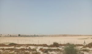 Aviara, Al Yelayiss 5: Dubai Land Department inspection photo, August 2024