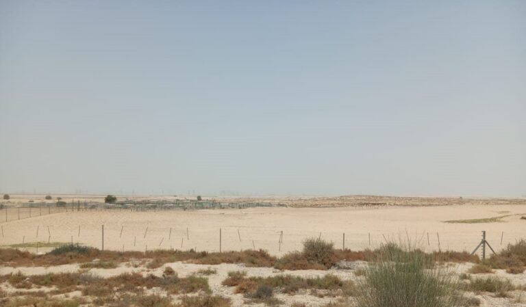 Aviara, Al Yelayiss 5: Dubai Land Department inspection photo, August 2024
