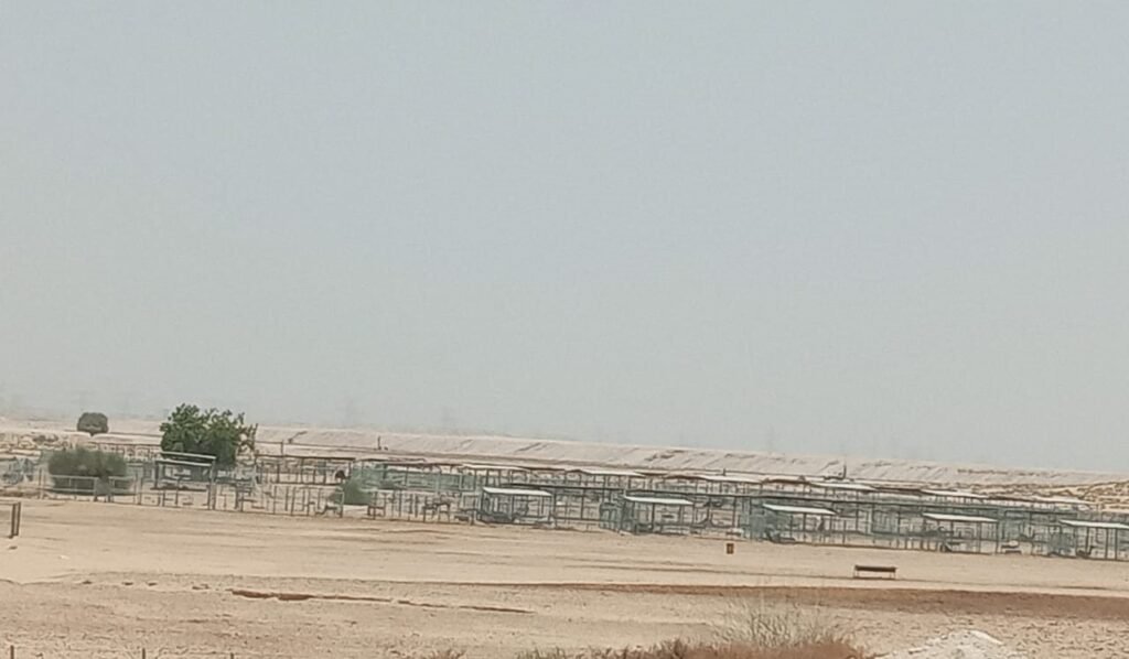 Bellaria, Al Yelayiss 5: Dubai Land Department inspection photo, August 2024